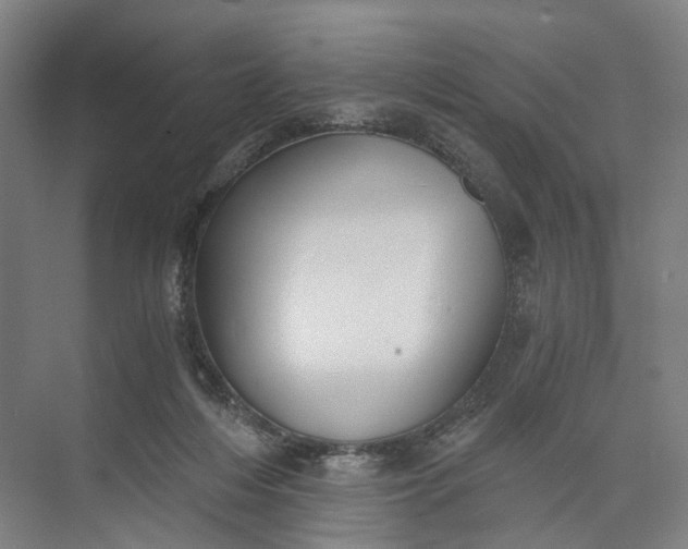 X0000073490216200608140850