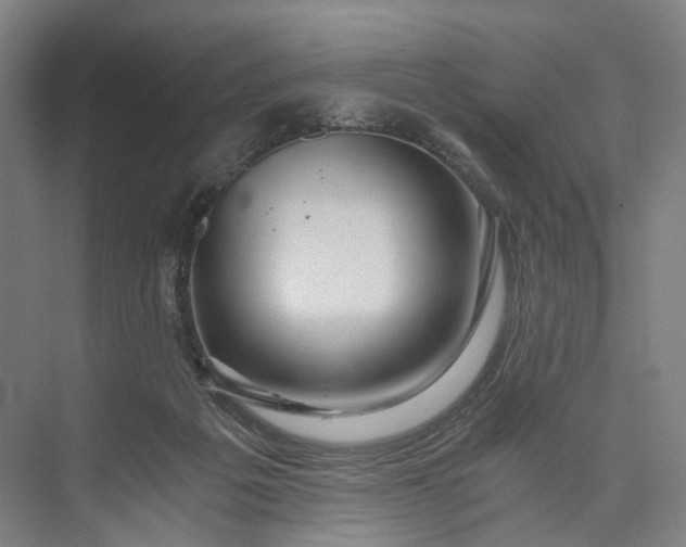 X0000073490217200608140850