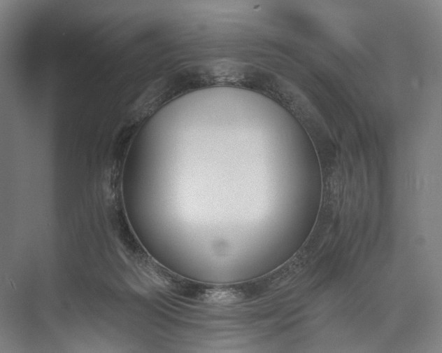 X0000073490218200608140850