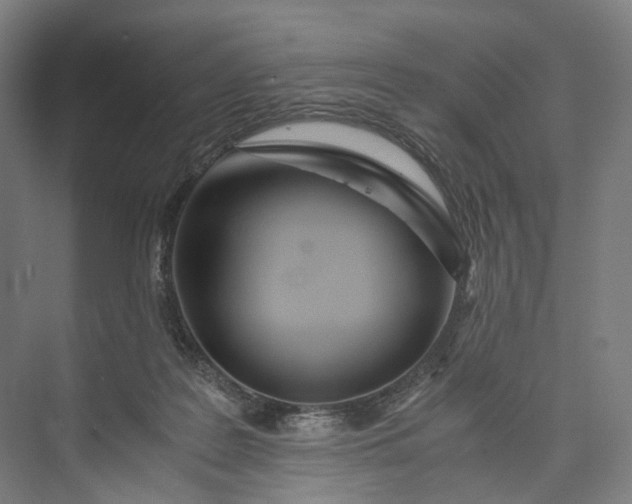 X0000073490219200608140850