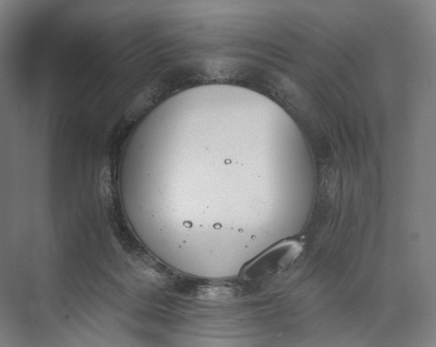 X0000073490220200608140850