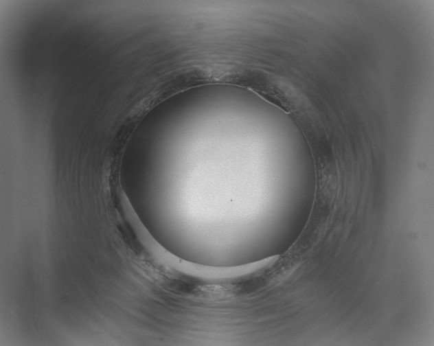 X0000073490221200608140850