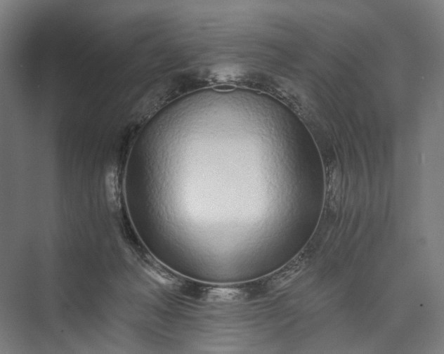 X0000073490222200608140850