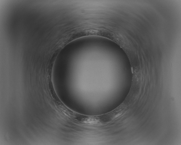 X0000073490223200608140850