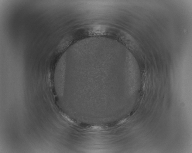 X0000073490224200608140850