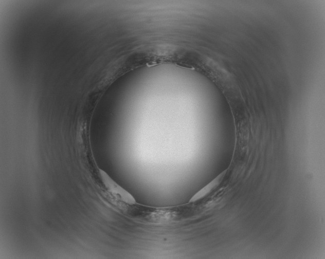 X0000073490225200608140850