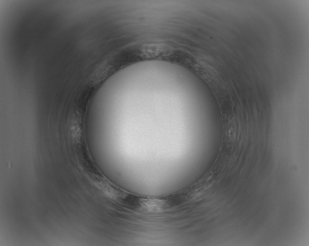 X0000073490226200608140850