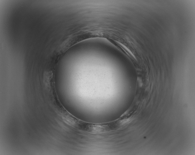 X0000073490229200608140850