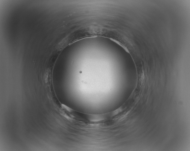 X0000073490233200608140850