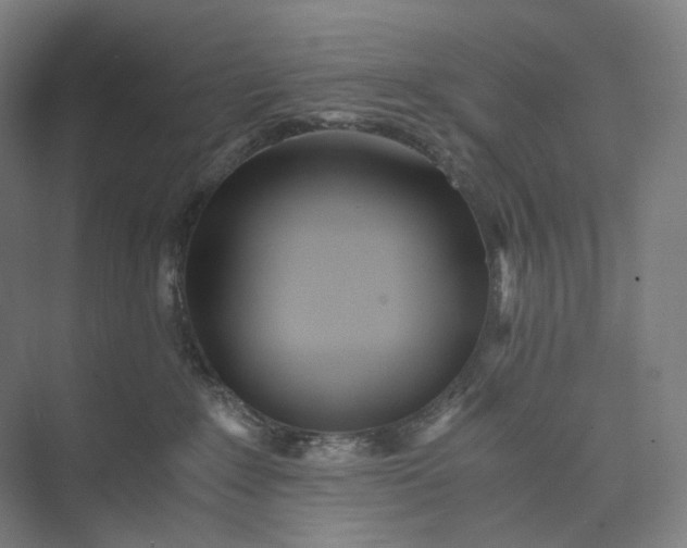 X0000073490235200608140850