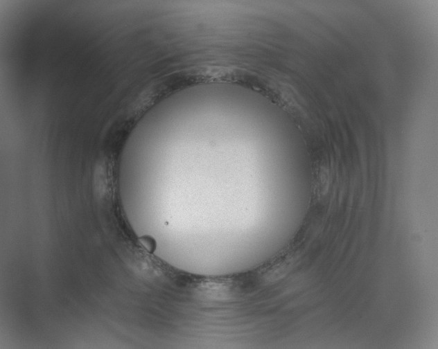 X0000073490236200608140850