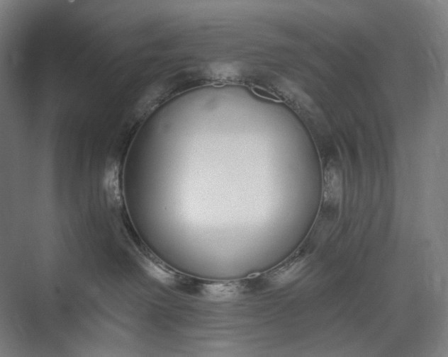 X0000073490238200608140850