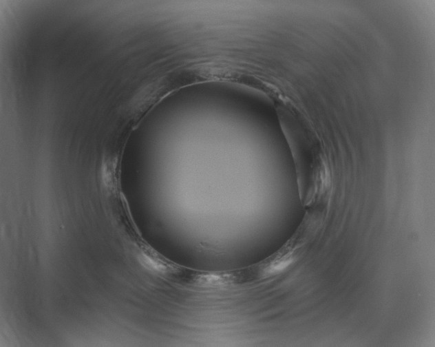 X0000073490239200608140850