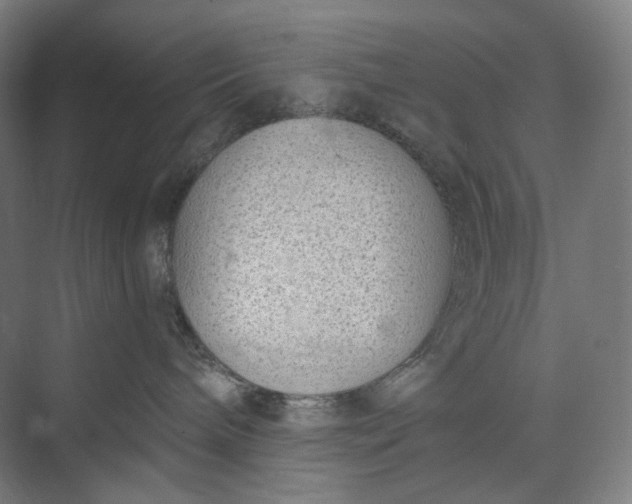 X0000073490240200608140850