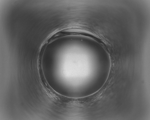 X0000073490244200608140849