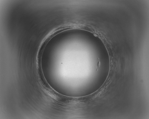 X0000073490246200608140849