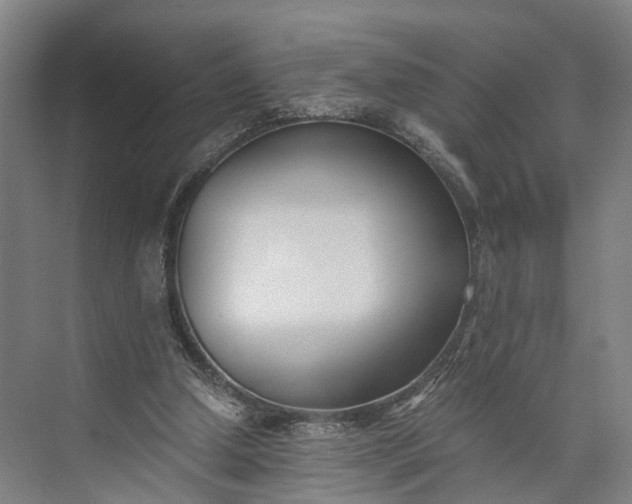 X0000073490250200608140849