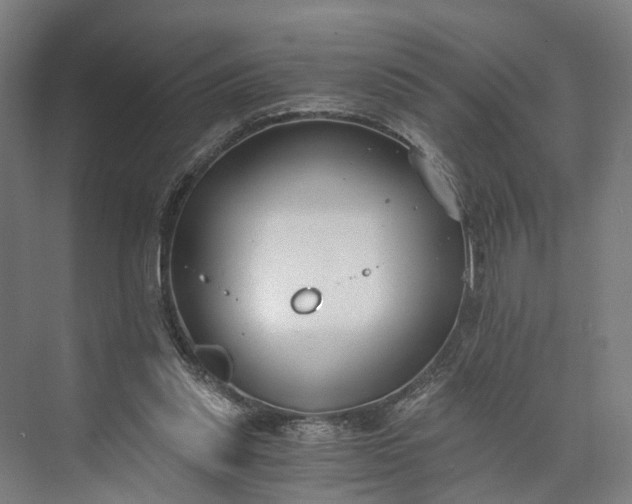 X0000073490253200608140849