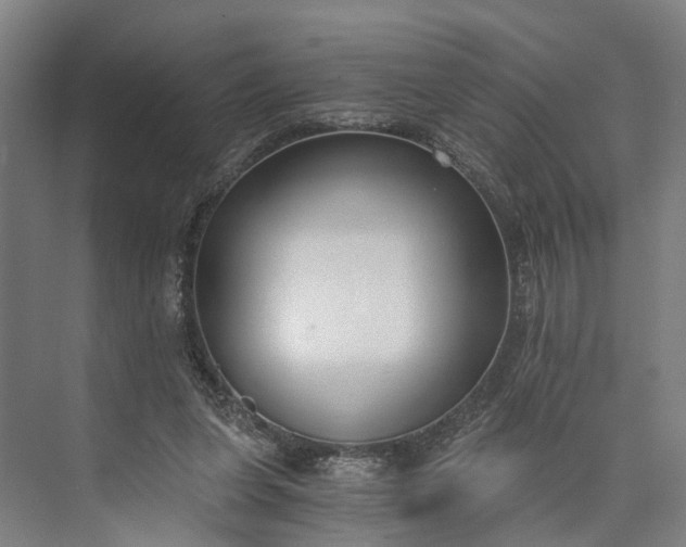 X0000073490255200608140849