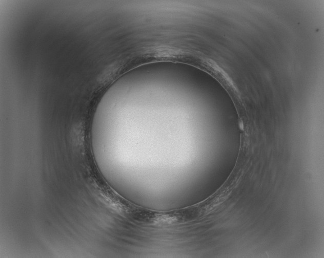 X0000073490257200608140849