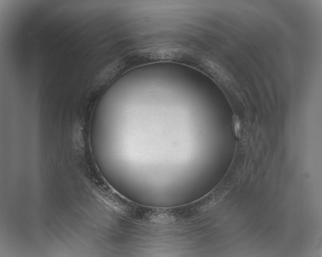 X0000073490258200608140850