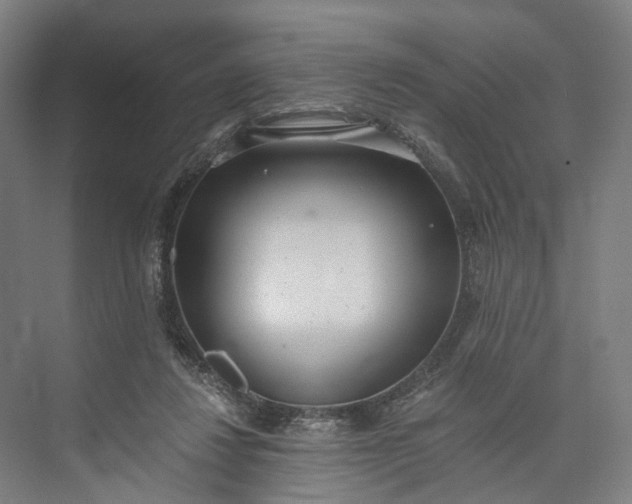 X0000073490260200608140850