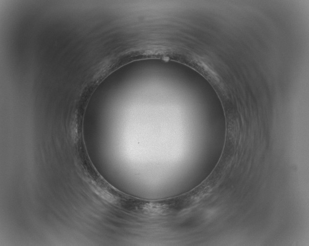 X0000073490261200608140850