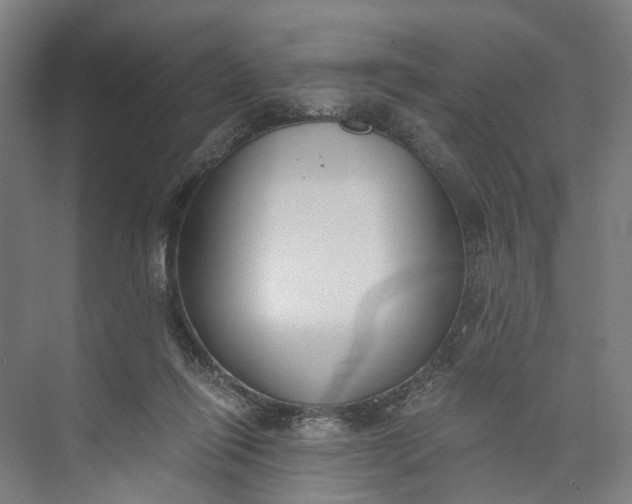 X0000073490262200608140850