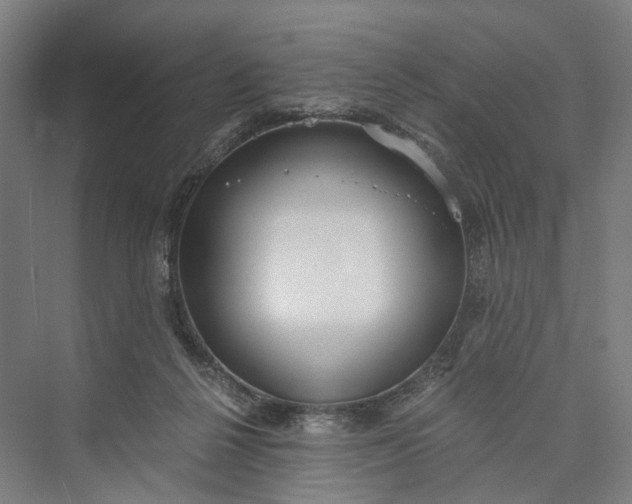 X0000073490264200608140850