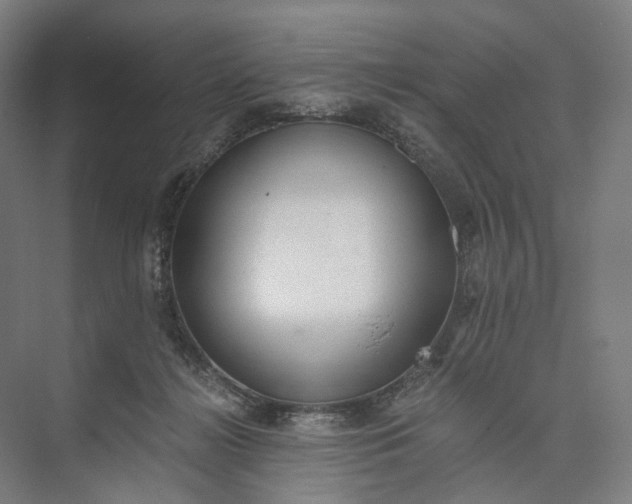 X0000073490268200608140850