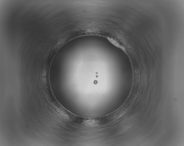 X0000073490269200608140850