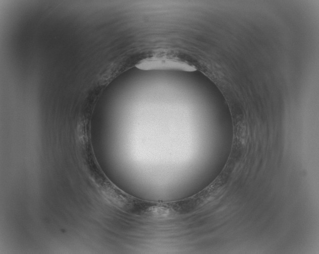 X0000073490272200608140850