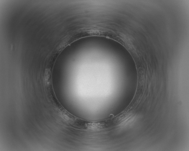 X0000073490273200608140850