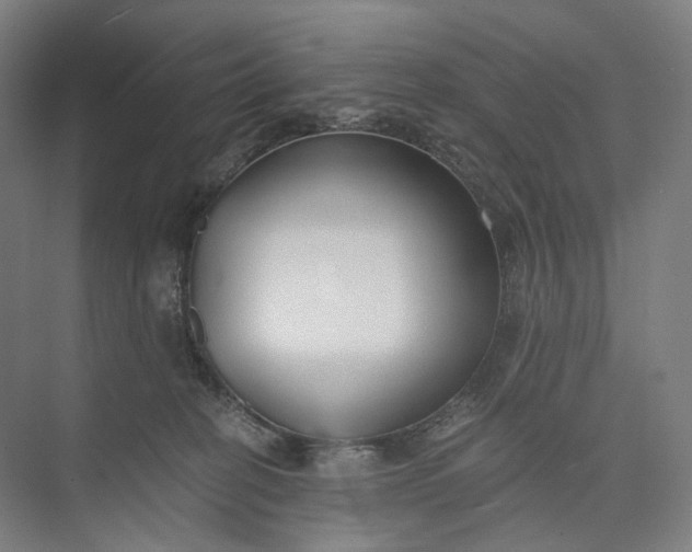 X0000073490274200608140850