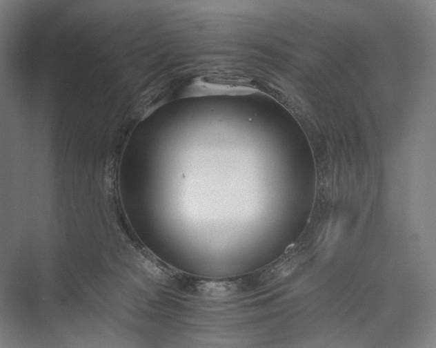 X0000073490277200608140850