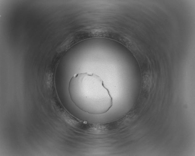 X0000073490278200608140850