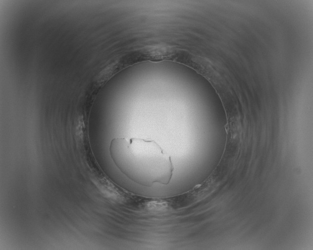 X0000073490279200608140850