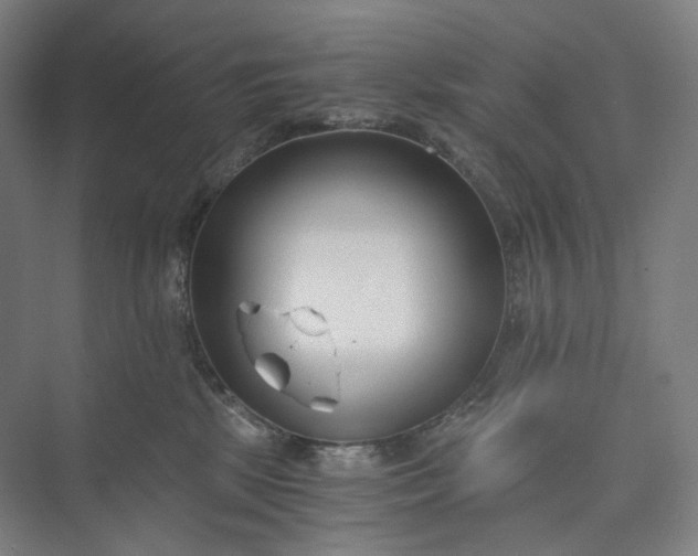 X0000073490281200608140850