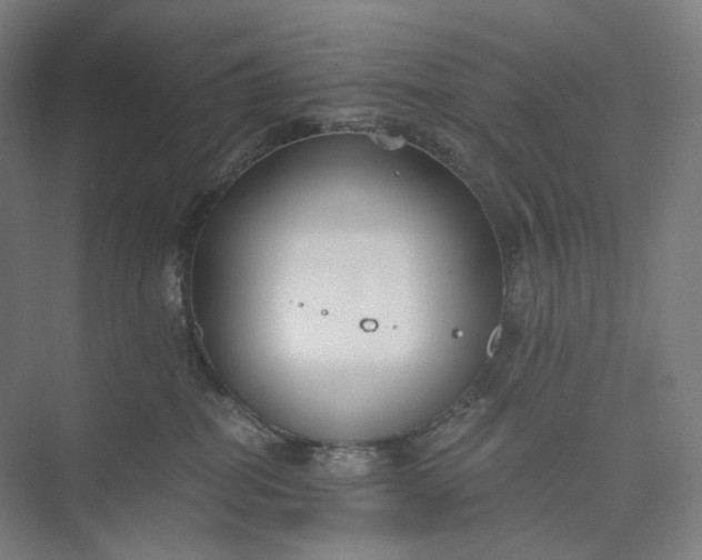 X0000073490282200608140850