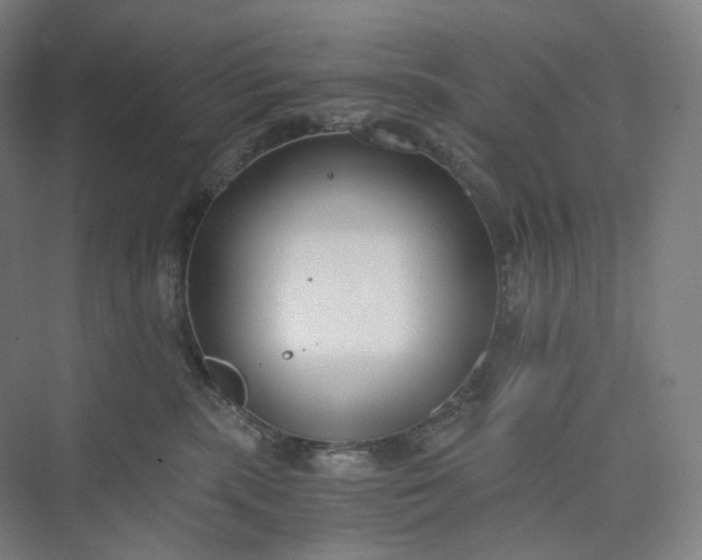 X0000073490283200608140850