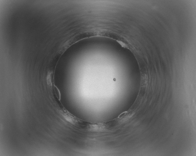 X0000073490286200608140850