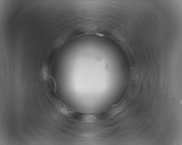 X0000073490287200608140850