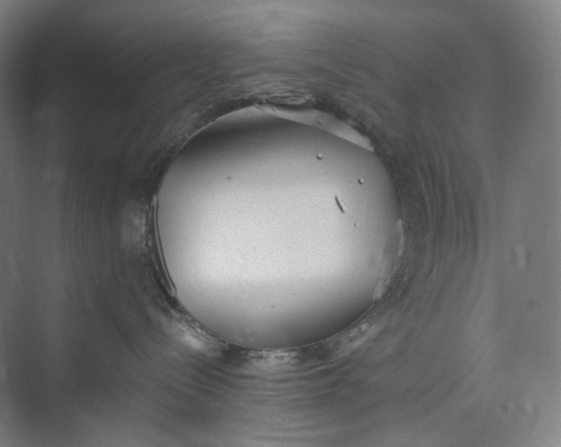 X0000073490288200608140850