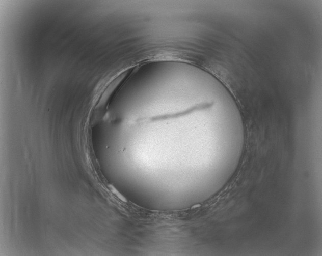 X0000073490289200608140849