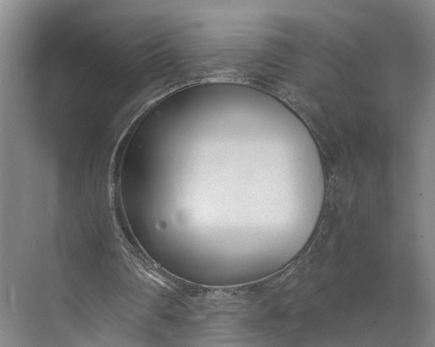 X0000073490290200608140849