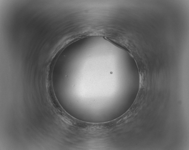 X0000073490291200608140849