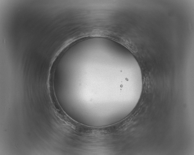 X0000073490292200608140849