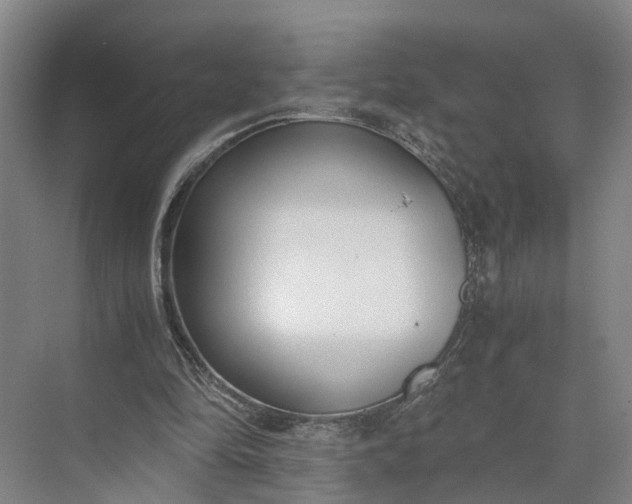 X0000073490294200608140849