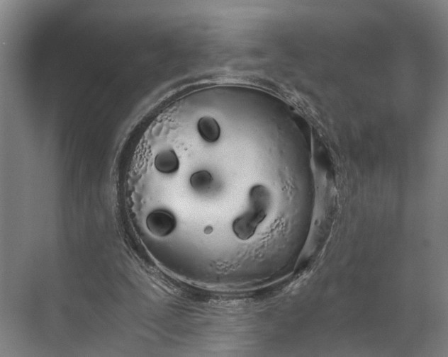 X0000073490295200608140849