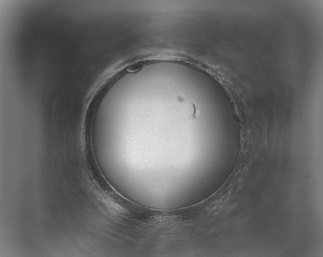 X0000073490296200608140849